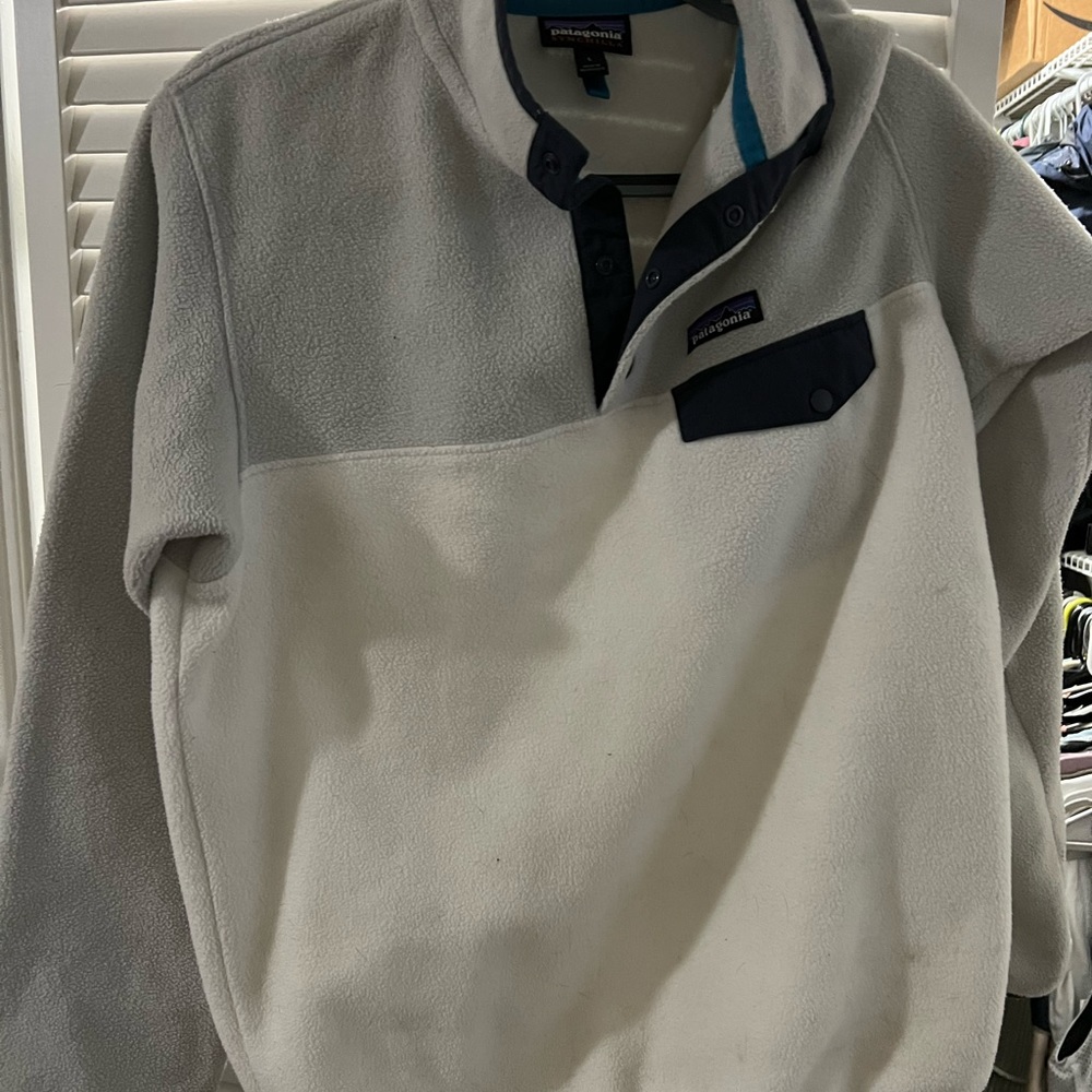 Patagonia sweatshirt